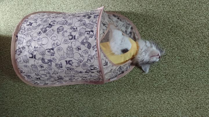   u2026     (    ) -               -      