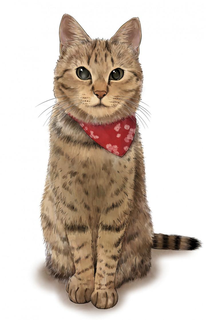 (ΦωΦ)(ΦωΦ)猫ネコねこ(ΦωΦ)♥里親様募集♥(=^・・^=)♥ ΦωΦ)(ΦωΦ)猫ネコねこ(ΦωΦ)里親様募集(=^・・^=) - ⁄ ) ::