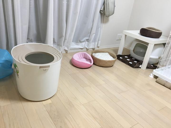 マイナーチェンジ おえーさんの猫ブログ ネコジルシ