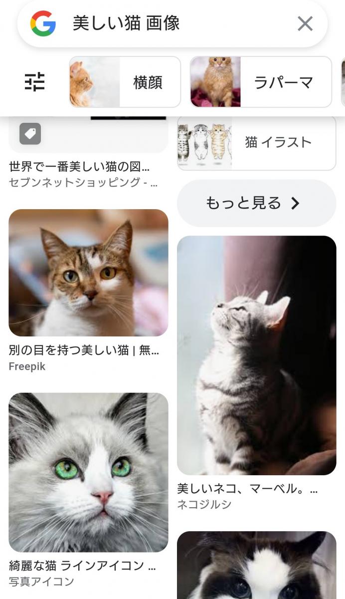 猫おやじさま専用ダウンジャケット - kineziomassage.com.ua