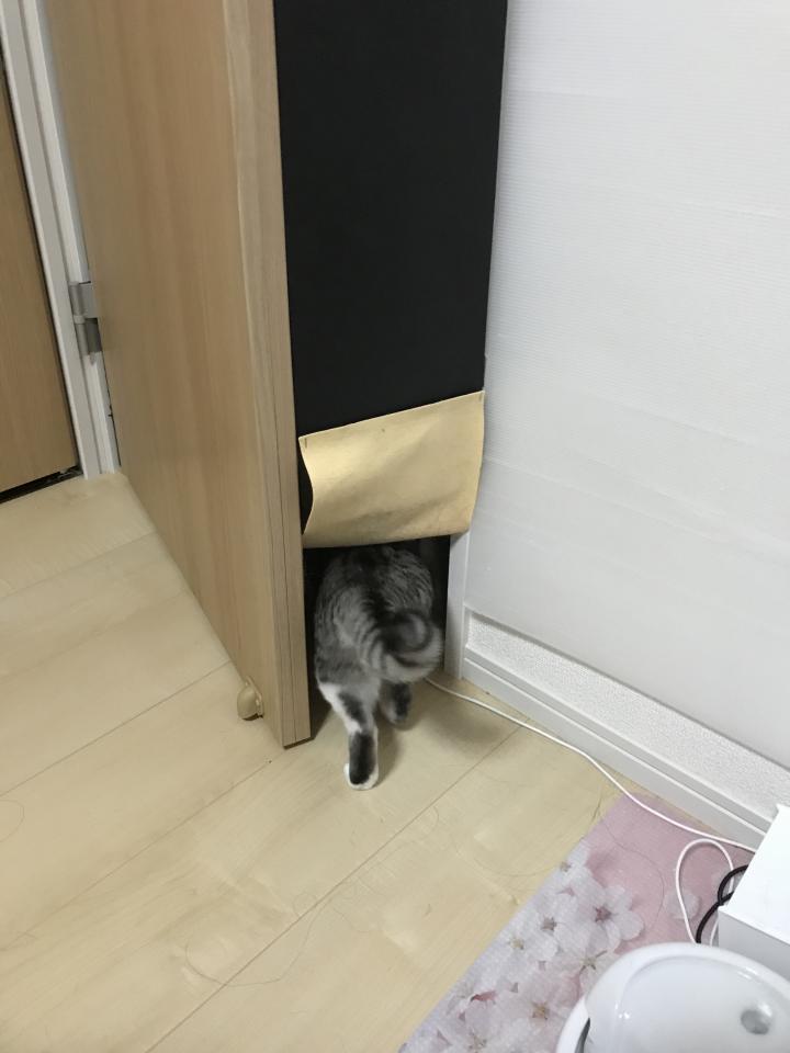 貼るだけニャン - わすこさんの猫ブログ - ネコジルシ