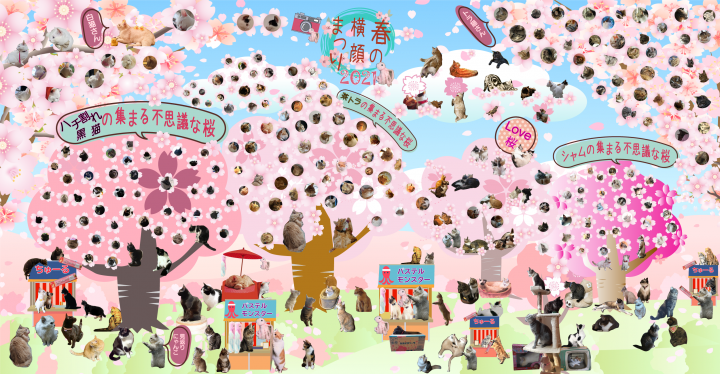 コラボ企画 00分まで追加 春の横顔祭り21 3 11 うみのるりさんの猫ブログ ネコジルシ