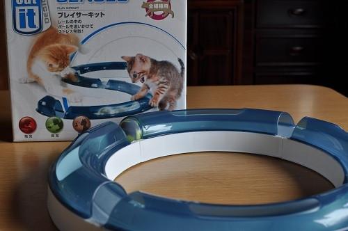 ブームがきた かぎしっぽ王子さんの猫ブログ ネコジルシ