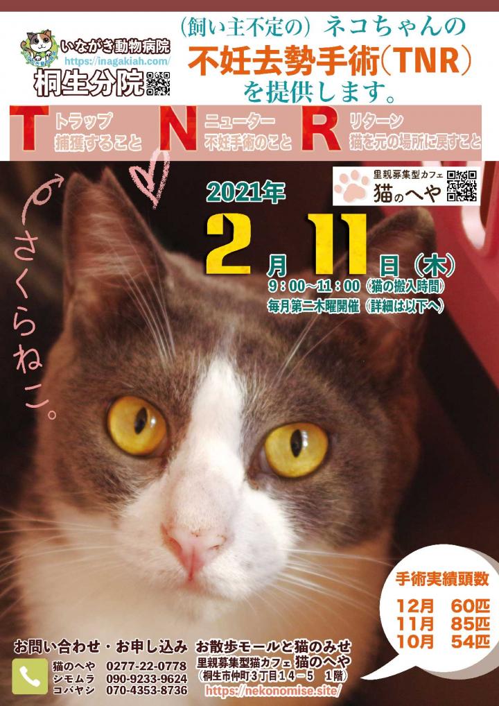 Tnr桐生分院 ２０２１年２月開催用チラシです 二葉ふたばさんの猫ブログ ネコジルシ