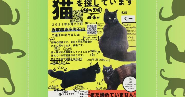 note記事再編集】長毛黒猫♀捜索。2022年6月〜千葉県東庄町【10