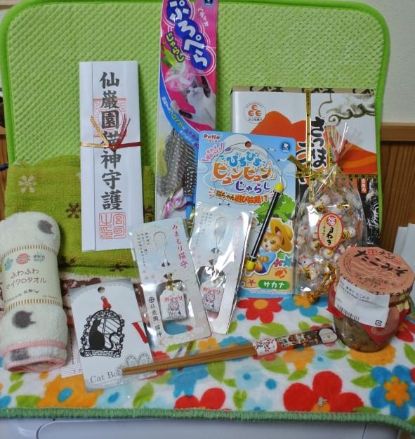 猫神神社のお札とお守り スイさんの猫ブログ ネコジルシ