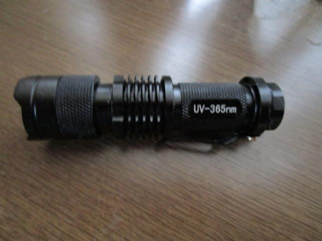 真菌症のエビデンスが無いって みしゃさんの猫ブログ ネコジルシ