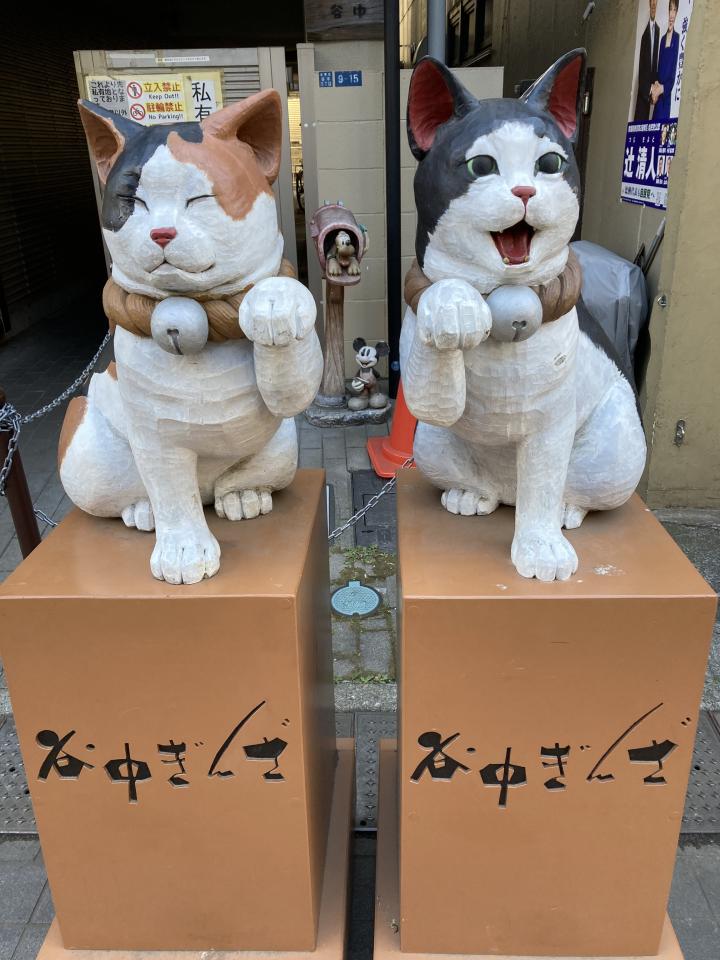 ねこきんさん Amazon.co.jp: きん、ぎん、どう? 夫きんさん&猫ぎんさんの日常観察