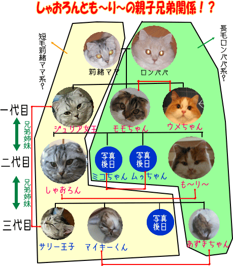 一族親子兄弟ニャン系図 はりこっちさんの猫ブログ ネコジルシ