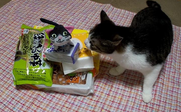 R6年 秋の報酬 - タッちゃんさんの猫日記
