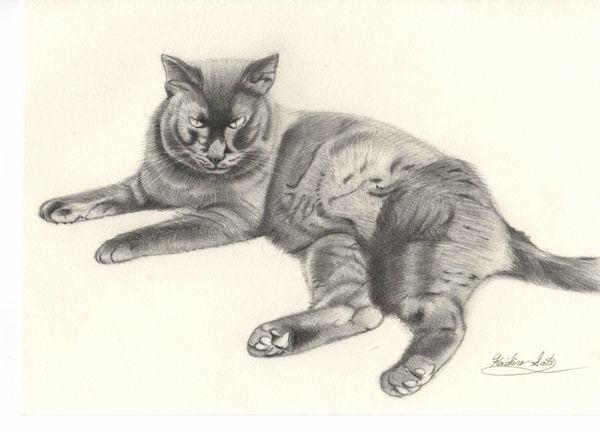 悪そうな奴はだいたい友達 Mayさんの猫ブログ ネコジルシ