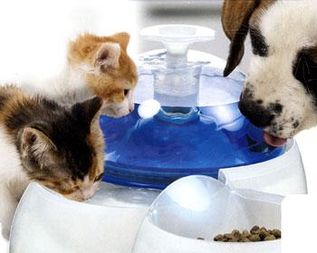 循環式水飲み器? - xシンxさんの猫ブログ - ネコジルシ