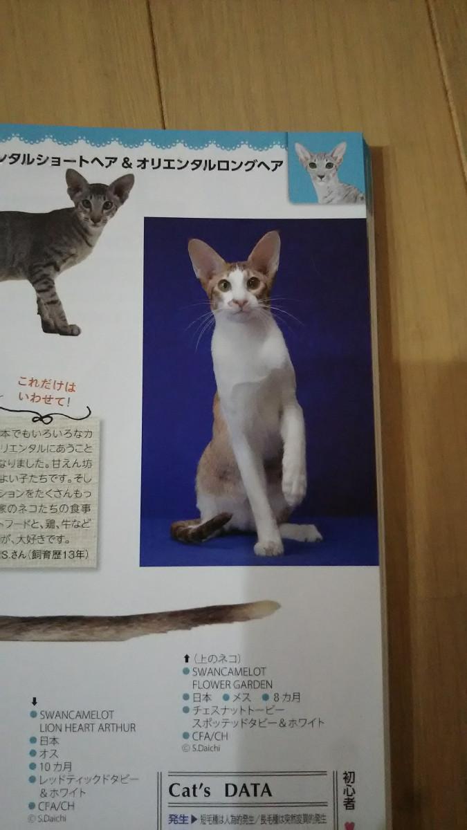 日本と世界の猫カタログ19 アユタヤさんの猫ブログ ネコジルシ