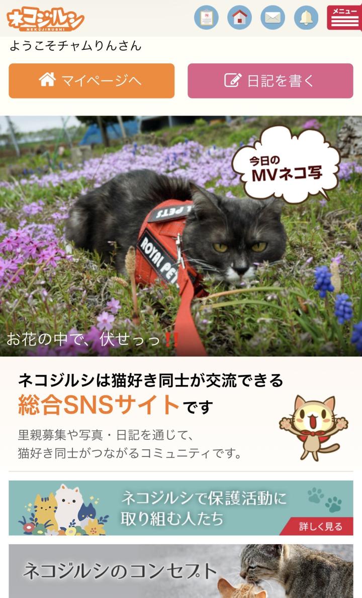 ✨本日のMVネコ写受賞、皆様ありがとう御座います✨ - チャムりんさん