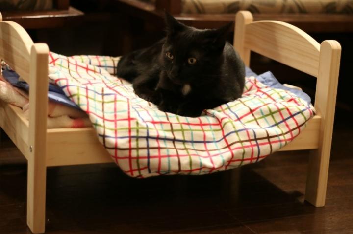 Ikeaの人形用ベッド Yumingさんの猫ブログ ネコジルシ Ikeaの人形用ベッド Yumingさんの猫ブログ ネコジルシ