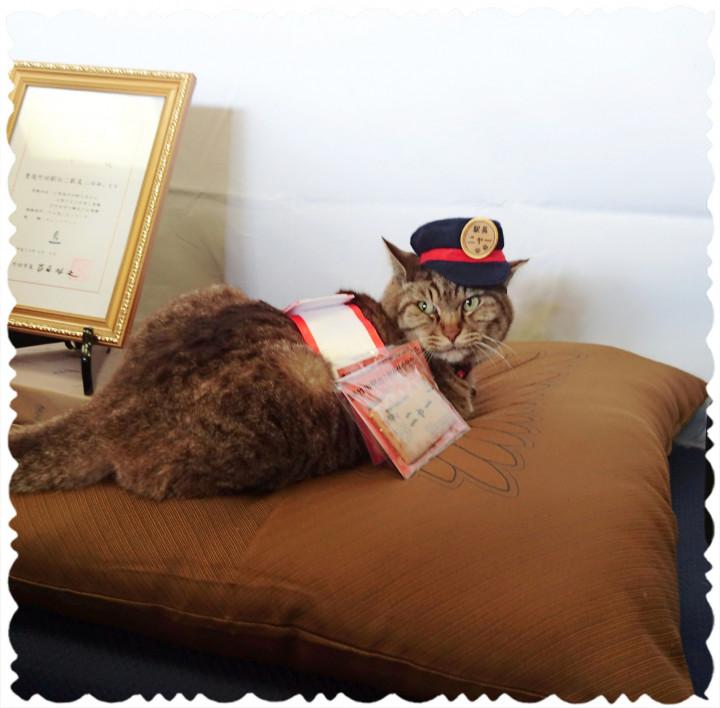 豊後竹田駅のニャー駅長 ｻﾄﾐさんの猫ブログ ネコジルシ