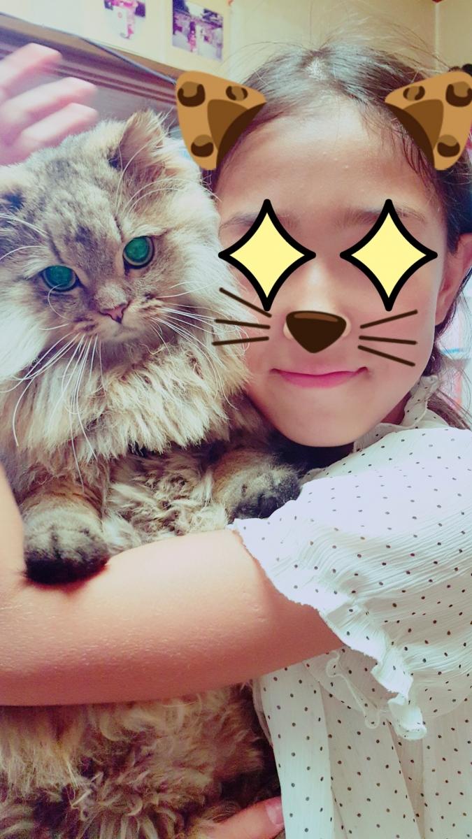 行ってきました プルルさんの猫ブログ ネコジルシ