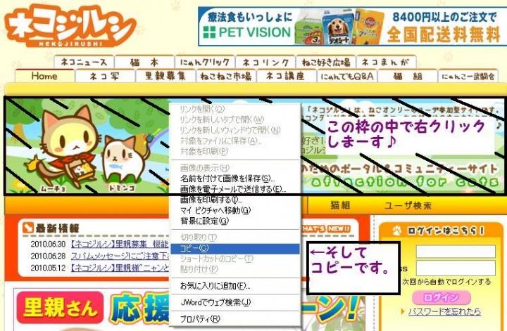 壁紙の作り方 Windowsです おっき さんの猫ブログ ネコジルシ