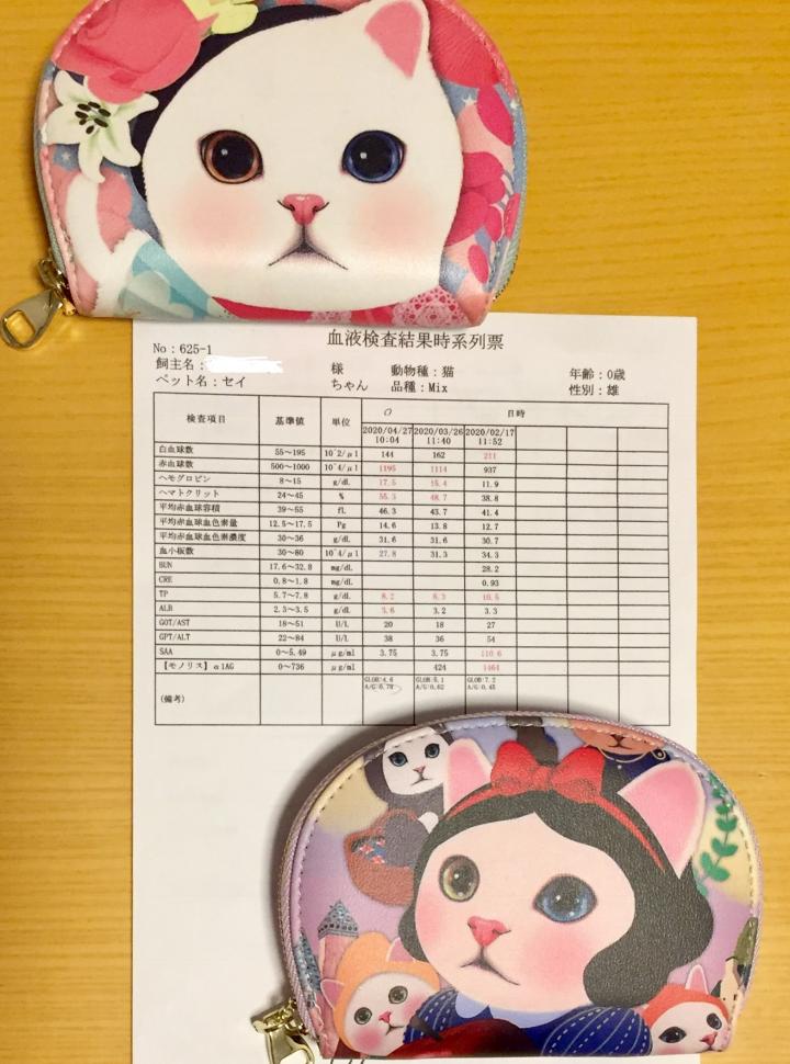FIP治療に終わりが見えてきました🍀 - むーんたんさんの猫ブログ 
