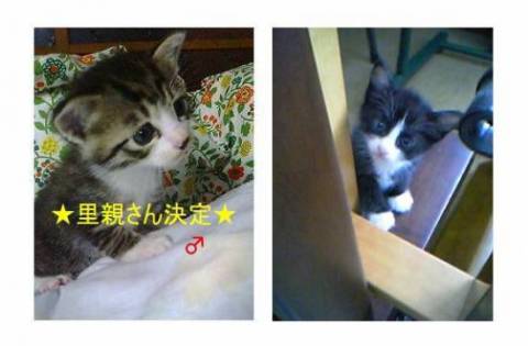 ６月９日に生まれ、まだ一ヶ月くら