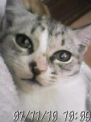 大人しいほうだと思います。あまり