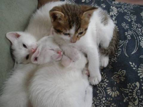 −