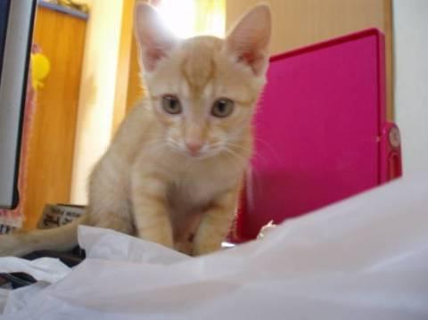 最近人に慣れてきてとてもかわいい