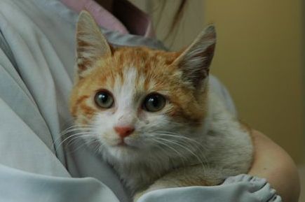 めちゃくちゃなスーパー甘えん坊で