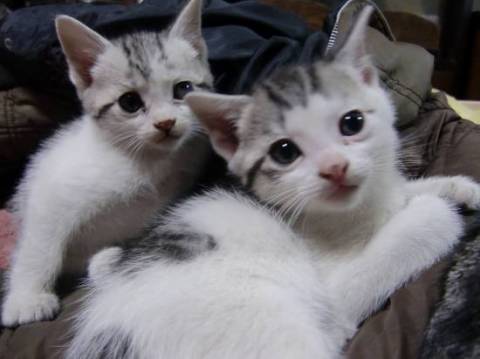 生まれた時から人のいる所で育って