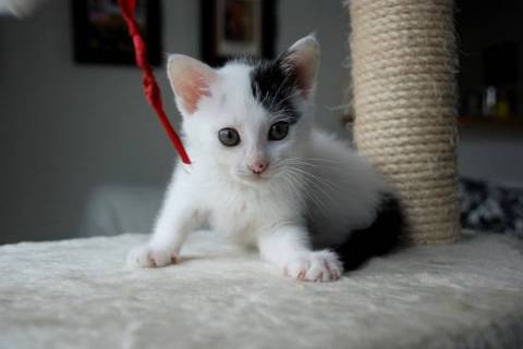 とても元気いっぱいだけど、全然う