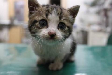 ちょっとビビリさんですが

