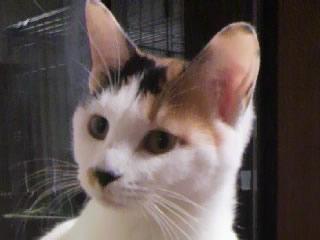 ＜2011.08.10＞
推定