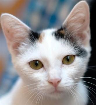 とても甘えん坊です。

人が