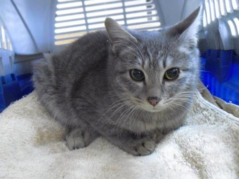 最初は少し怖がりさんですが、すぐ