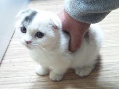 元気です