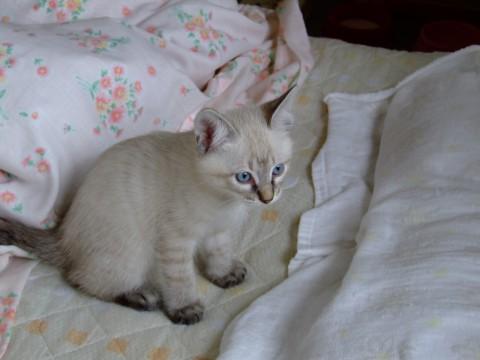 男の子ですので元気です(~o~)