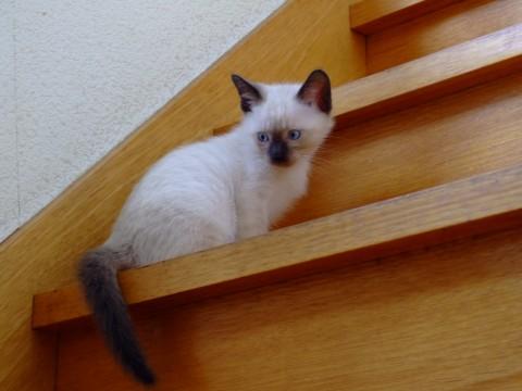 男の子ですので元気です(~o~)