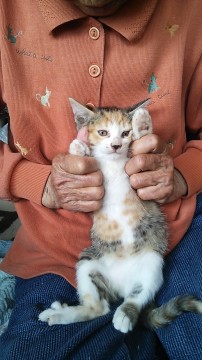 きょうだいの中で一番人近いです。