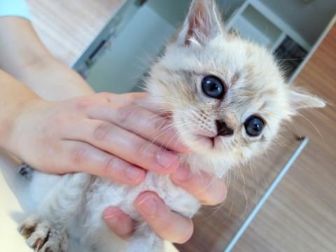 仮名は《もりお》といいます
シ