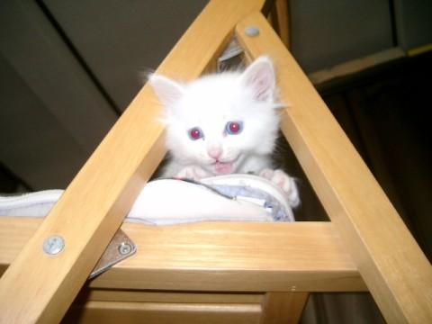 ４月１９日生まれです。

毛