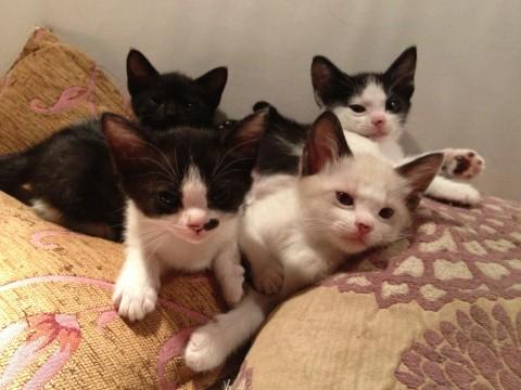 顔はかわいい方だと思います！写真