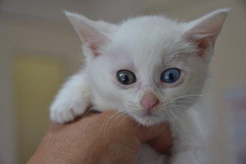 美人なだけではなく、性格もよく、