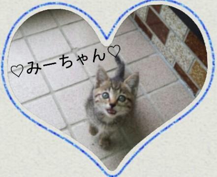 ☆みーちゃん☆

おでこにM