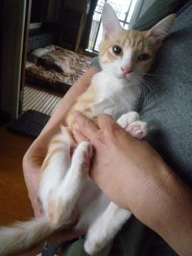 生後3か月の男のコです☆

