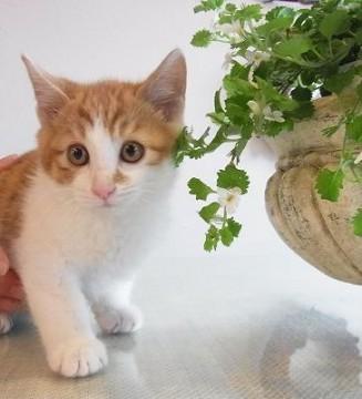 とても元気です
おしっこもすぐ