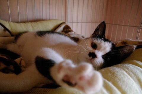 ミルクちゃんと呼んでいます。
