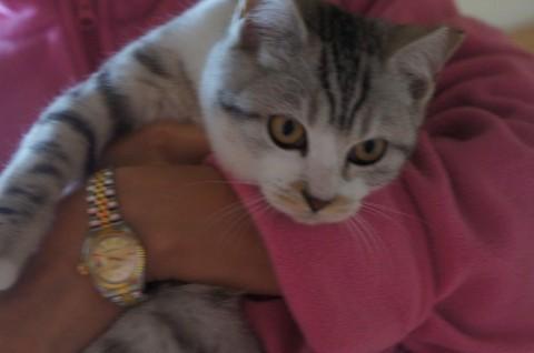 ・とても人馴れしている甘えん坊さ