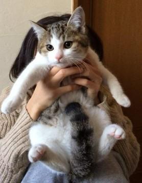 生後3.5～4か月の男のコです☆