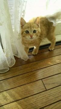 人が大好きで、おしゃべりをするよ