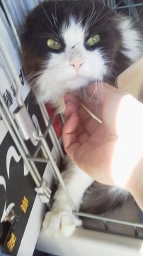 １月23日に獣医さんに診てもらい